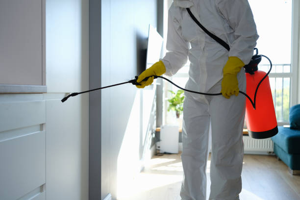 Best Commercial Mold Remediation in Funny River, AK