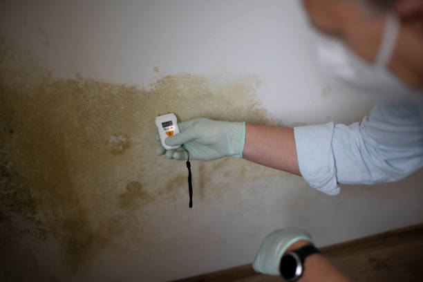 Best Crawl Space Mold Remediation in Funny River, AK